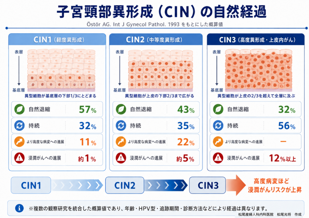 松尾産婦人科 子宮頸部異形成自然史図譜